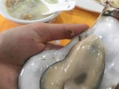 -蚝专家(北滘店)