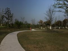 -上海长兴岛郊野公园