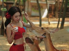 -南戴河国际娱乐中心