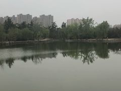 -渭滨公园
