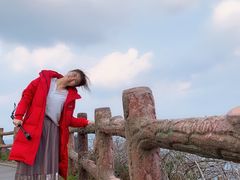 -真情鲍鱼海鲜汤