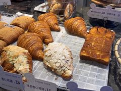 -TD66高山铁皮石斛养生茶饮
