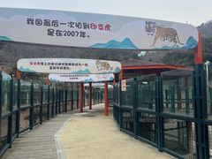 -大连森林动物园