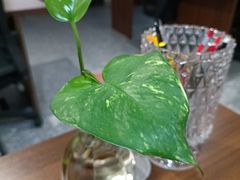 -聚福宝合苑食府(南头镇店)