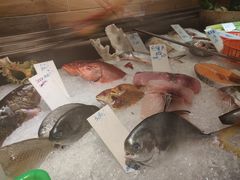 -阿飞冲浪旅店一馆