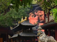 -郑州大观音寺