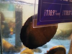 -旺顺阁海鲜广场(亚运村店)