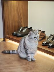 -优刻西服西装定制(金轮国际广场店)