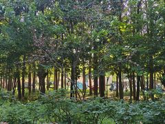 -洛阳市隋唐城遗址植物园