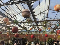 -南宫五洲植物乐园