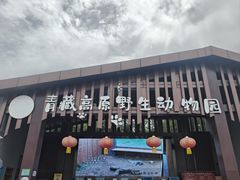 -青藏高原野生动物园