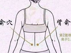 -天姿美容·美体科技SPA·艾姿美店