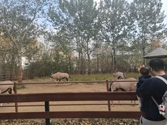 -大连森林动物园