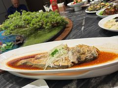 -大连湾旭日·家宴·海肠捞饭(马栏广场店)