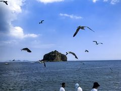 -棒棰岛宾馆景区