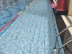 -飞鲨游泳培训学校