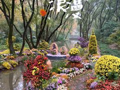 -上海共青森林公园