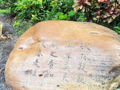 -香港大学