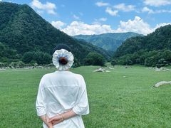 -狮子沟牧场