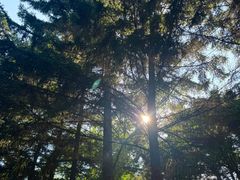 -长白岛森林公园