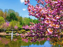 -石家庄市植物园