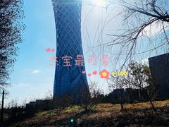 -上海滨江森林公园