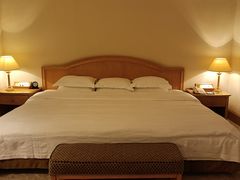 -南京维景国际大酒店(南京博物院店)