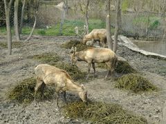 android_upload_pic-溱湖国家湿地公园