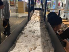 -喜茶(深圳东门1234店)