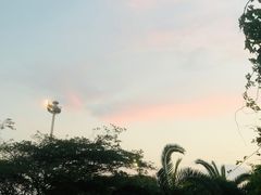 -碧海金沙