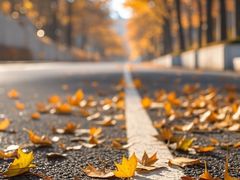 -盈丰路(地铁站)