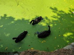 -荆州中山公园动物园