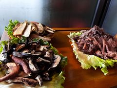 -易门野生菌府·菌海森林(月牙潭公园店)