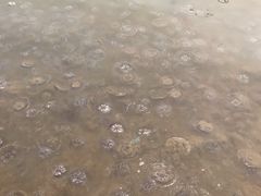 -东戴河风景区-止锚湾