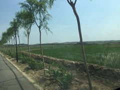 -东方华地城湿地温泉度假区