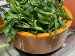 -龍歌自助小火锅(市南金茂湾店)