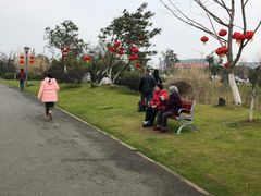 -瑶湖郊野森林公园