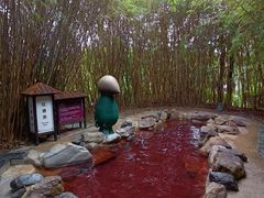 -佛冈森波拉度假区