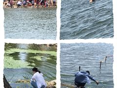 -长春市南湖公园