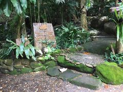 -绿光森林餐厅