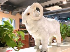 -九府羊鲜羊火锅·烧烤(海那城店)