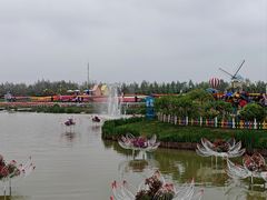-荷兰花海