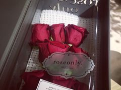 -ROSEONLY诺誓(广州K11店)