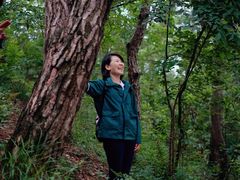 -青龙山国家森林公园