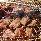 挑个雪天❄️来樱花树下烤肉肉🥩