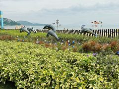 -大梅沙海滨公园