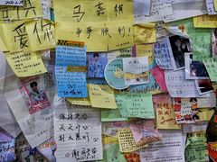 -沉香牛肉面