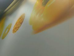 -肯德基(龙之梦购物中心店)