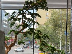 -百富源·海鲜辽菜(和平北大街店)