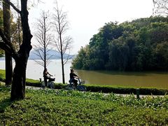 -顺峰山公园